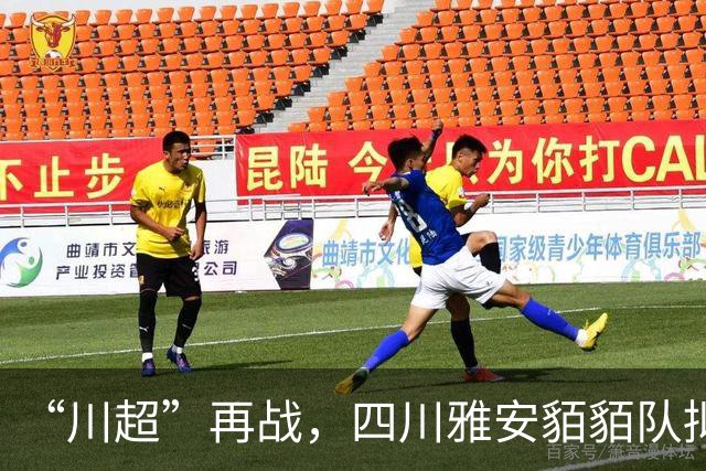 “川超”再战，四川雅安貊貊队拟更名，正全网征集