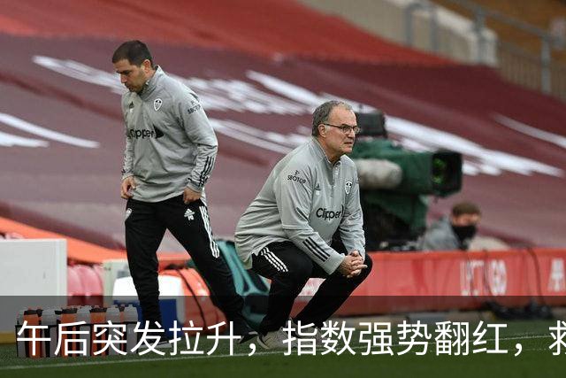 午后突发拉升，指数强势翻红，救兵来了？