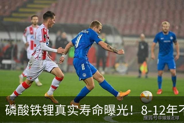 磷酸铁锂真实寿命曝光！8-12年不是标配，全看你怎么造