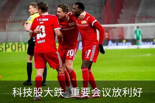 科技股大跌 重要会议放利好