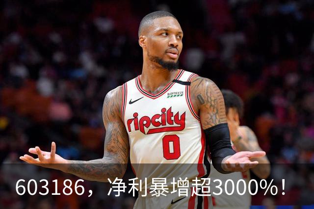 603186，净利暴增超3000%！